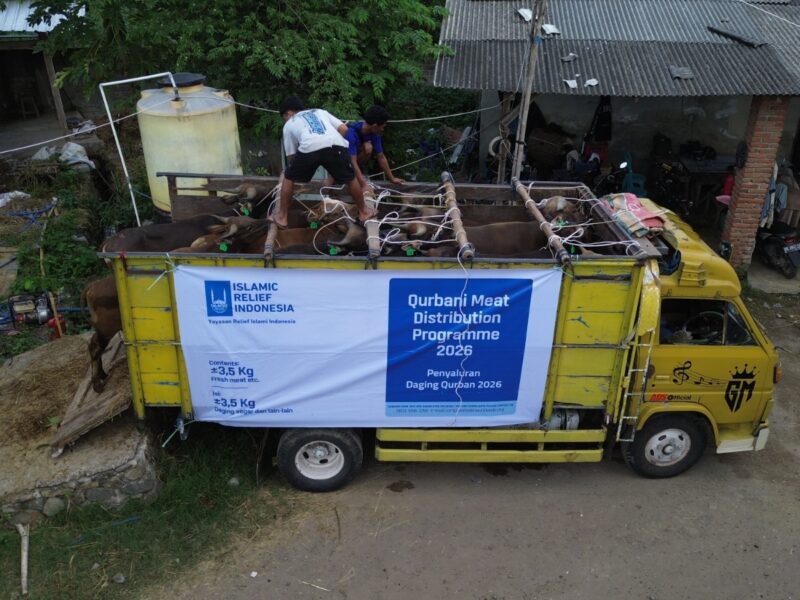 Islamic Relief Salurkan 274 Sapi Kurban dalam Program Double Qurban–Double Berkah