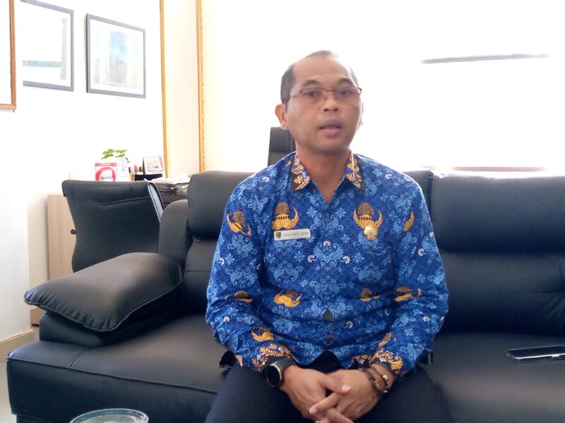 Pemkab LotimRencanakan Pengadaan Mobil Listrik, Tunggu Harga Resmi Inaproc