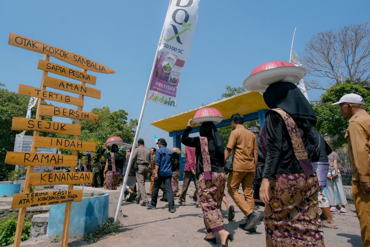 Sambelia Tetap Dialiri Air Saat Hampir 11 Kecamatan di Lombok Timur Kekeringan
